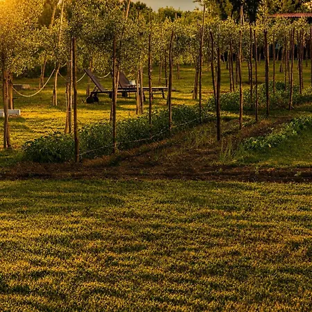 Hotel Agri-resort Luxury Farm Marigliano